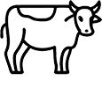 qurbanmu